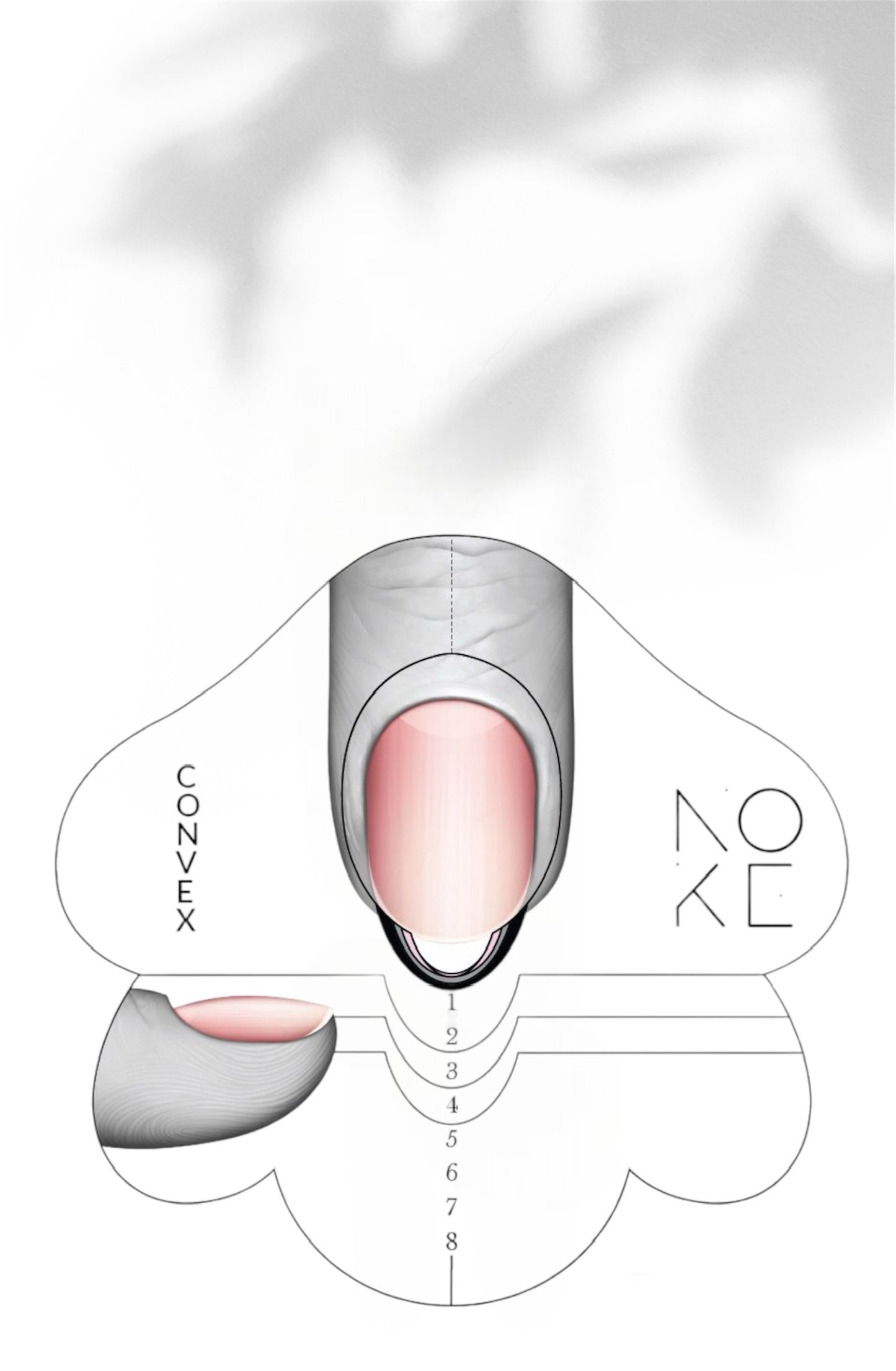 NAIL FORM CONVEX, 100Stk