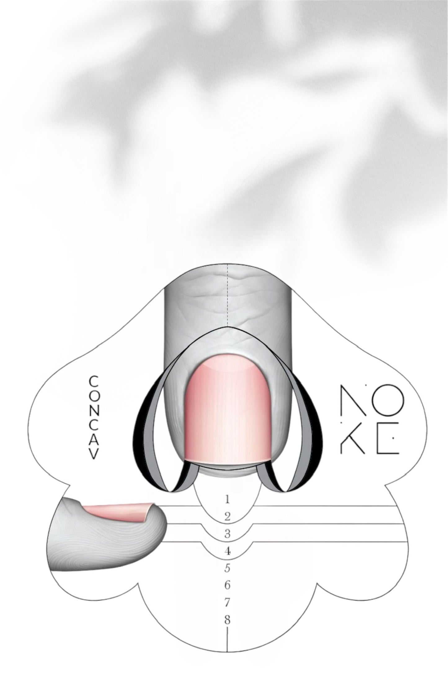 NAIL FORM CONCAV